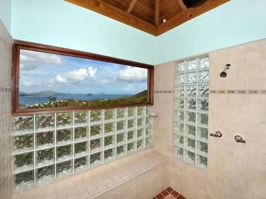 Cielo Vista Villa 3 Bdrm Sleeps 6 Heavenly View Cruz Bay 0*,  Americké Panenské ostrovy